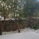 해피온스테이 이미지