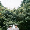 송당 온도 이미지