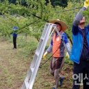 한전 봉화지사 이미지