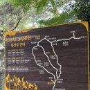 [전남 장흥] 천관산 억새구경 | 일출산행