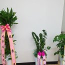 행정사 조재근 사무소 이미지