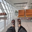 진도허브 | [태국] IDLMS 월싫 공연보러 혼자 떠난 방콕, 잠깐의 관광을 곁들인 2박 3일 여행 및 공연 후기