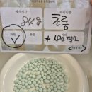 몽몽이엠파크 이미지