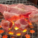 불타는돼지 이미지