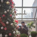 이풀실내정원 이미지