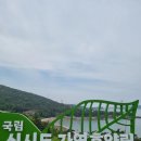 삼존리 산101-2 | 전북 군산시 국립신시도자연휴양림 휴양관 상현달 101호 이용후기 250517