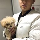 몽슈 펫그루밍샵 이미지