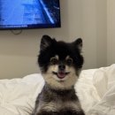 2월호텔더스테이 강서신관 | 강서 미즈메디에서 인공수정 1차 도전 후기 및 기록