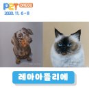 펫아뜰리에