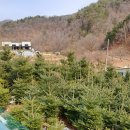 구상몰