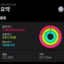 효창동물병원 | 밀려서 😮‍💨대전 당일치기 여행, 열매손만두, 대전 사라다, 대전 리풀카페, 대전 숯골원냉면, 온러닝...