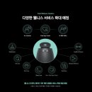 웰니스펫뷰티 이미지