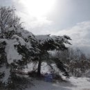 다운목장 이미지