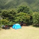 동강대자연 이미지