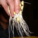 선인수농장 이미지