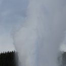 옐로스톤 국립공원의 간헐천(Old Faithful Geyser) 이미지