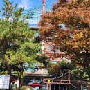 봉녀수제비 이미지