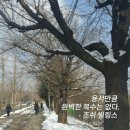 유안 이미지
