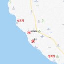 판포바다향기 | [대정읍] 노을해안1014 : 제주도 아이와 함께 전기바이크(스쿠터) 타고 돌고래 투어(돌고래 만나는 꿀팁...