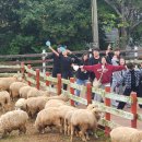 경북중부중학교 이미지