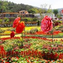 자연수변공원 이미지