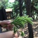 산림놀이 화장실 이미지