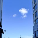 대교공원 체험관광센터 | 가을 광안리 물놀이, 패들보드(SUP) 빠지 보트 체험 광안해양레포츠센터 비용 주차 샤워