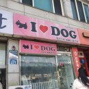 아이러브도그 이미지