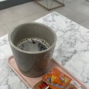 트리밍하임 | 볼륨매직 잘하는 곳 제주연동미용실 살롱하임