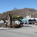 외궁천 Daum카페