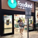 피시랜드 이미지