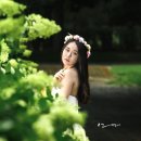 화장품나라엘리스