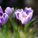 반도골프클리닉 이미지