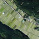 월평축사 이미지