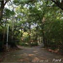 고산사 아미타불화 이미지