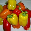 재규농장 이미지