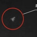 뱅크트리 이미지