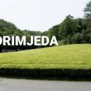 보림제다 이미지