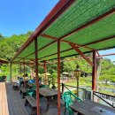 한채쭈꾸미 이미지