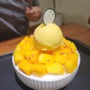 원앤식스커피 | [아이와 장흥여행] 체리빙수, 망고빙수 디저트 맛집, 카페_원앤식스 커피