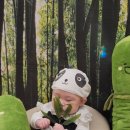 한솔소프트 | 홈플러스 오창점 문화센터 수강후기 : 한솔잼잼 최정윤 선생님