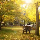 강촌잠빌 이미지