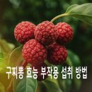 생리관광농원 | 혈압, 당뇨, 항암에 좋은 구찌뽕 슈퍼푸드의 영양 폭발, 효능·부작용·섭취 팁 대공개!