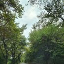 대곡사 - 1707 | ˝ 의성 대곡사 ˝