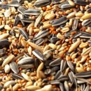 조은사료 이미지