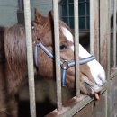 송산주유소 | 정읍 카페투어: 분더퓨얼 &amp; 와일드필드커피 투어 추천