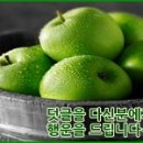 광주성형외과