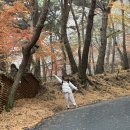 두부스테이 | 충남/예산 수덕사 템플스테이 1박 2일 내돈내산 체험형 후기 (2) 2일차