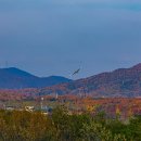 청솔미사