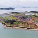 섬 맨드라미 축제 이미지